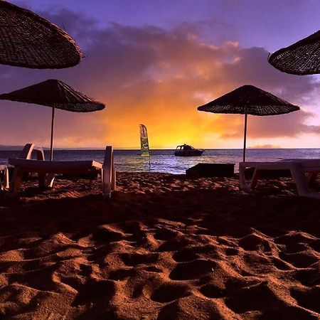 Cicek Evler Tatil Koeyue Hotel Armutlu Luaran gambar