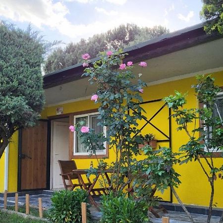 Cicek Evler Tatil Koeyue Hotel Armutlu Luaran gambar